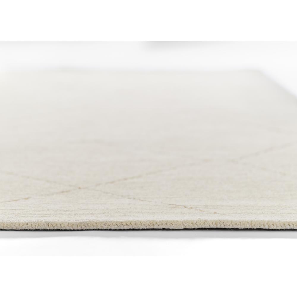Contemporary Rectangle Area Rug, Ivory, 2' X 4'. Picture 5