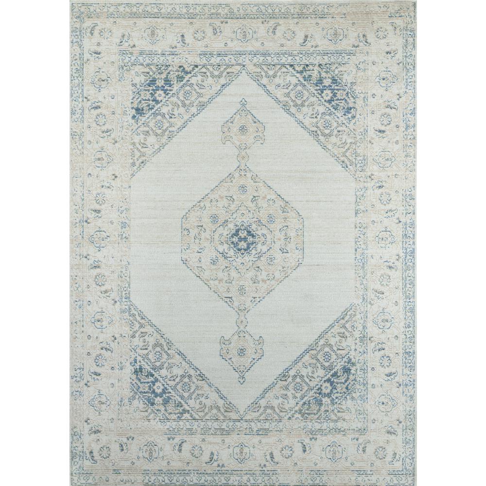 Traditional Rectangle Area Rug, Blue, 5'3" X 7'3". Picture 1