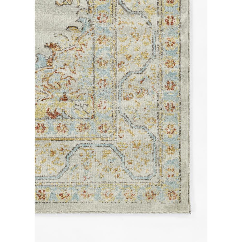 Traditional Rectangle Area Rug, Ivory, 2' X 3'. Picture 5