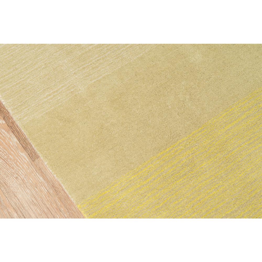 Contemporary Rectangle Area Rug, Citrus, 2'3" X 3'9". Picture 3