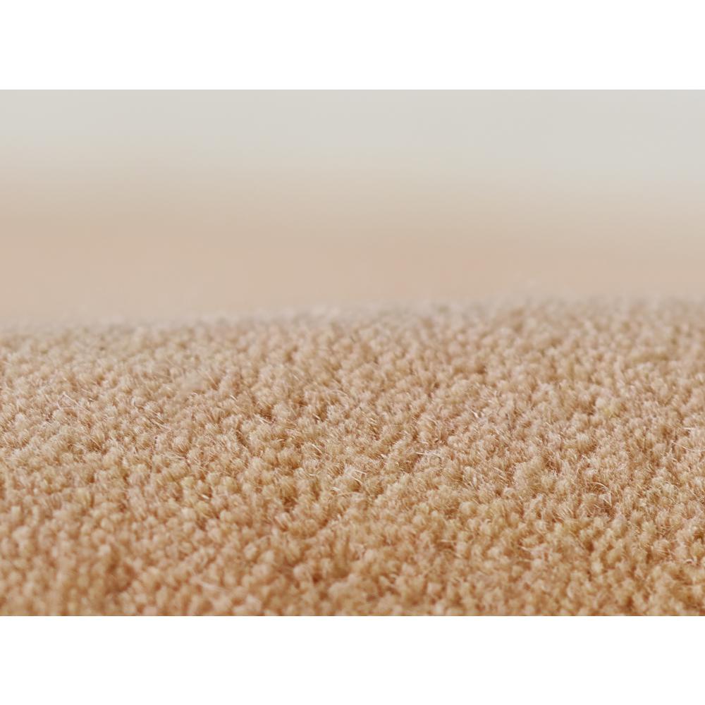 Contemporary Rectangle Area Rug, Pink, 2' X 4'. Picture 4