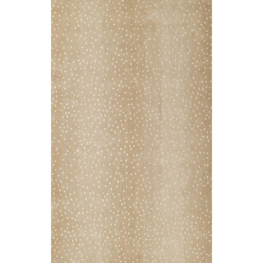 Contemporary Rectangle Area Rug, Beige, 2' X 3'. Picture 1