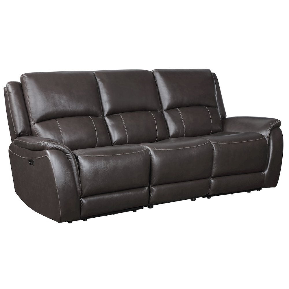 Alexandria Power Leather Reclining Sofa. Picture 1