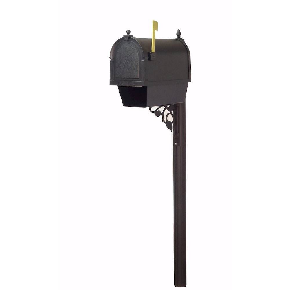 Curbside Mailbox with Newspaper Tube, Locking Insert and Albion Mailbox Post. Picture 2