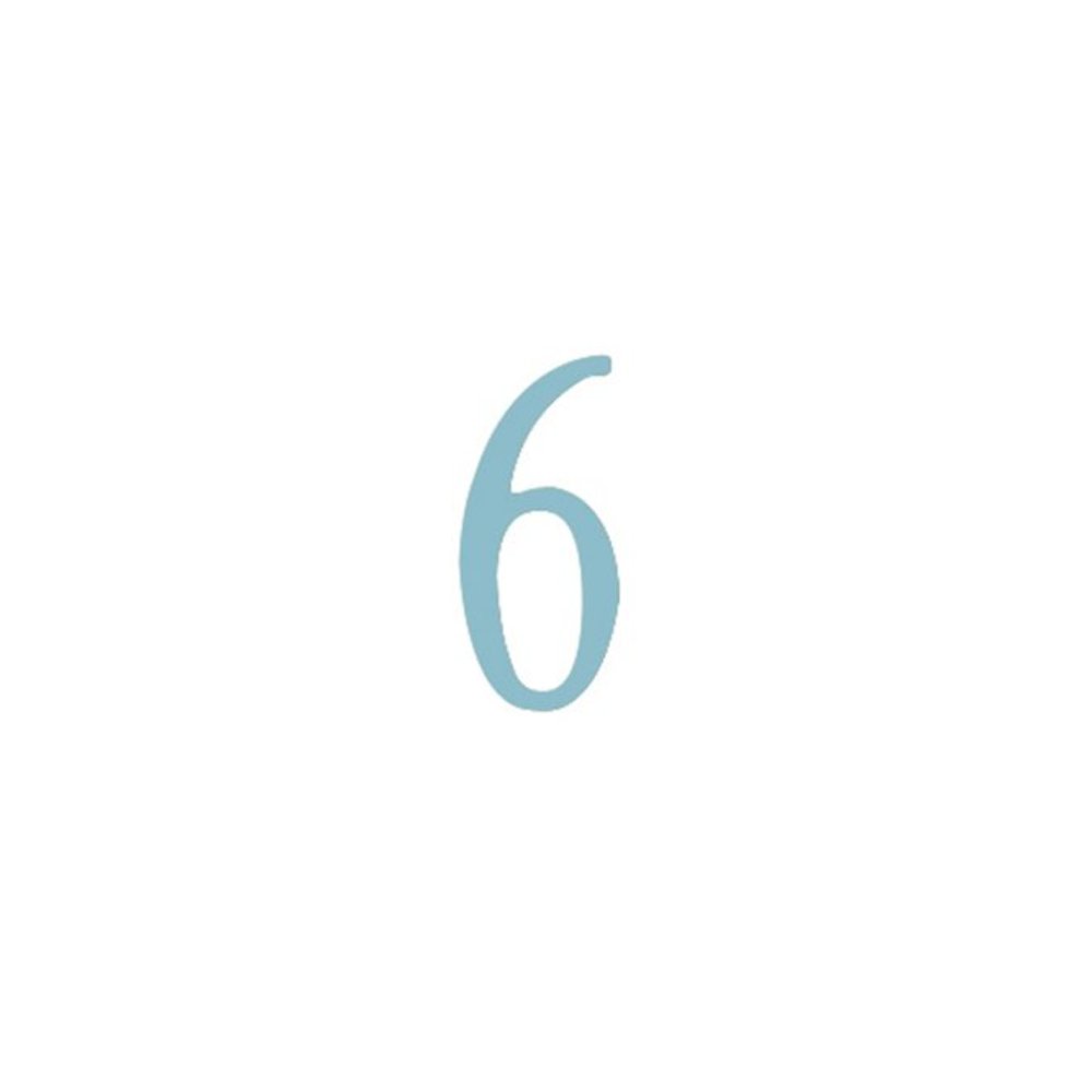 2 inch Stainless Steel Self Adhesive Address Number.  Number: 6. Picture 1
