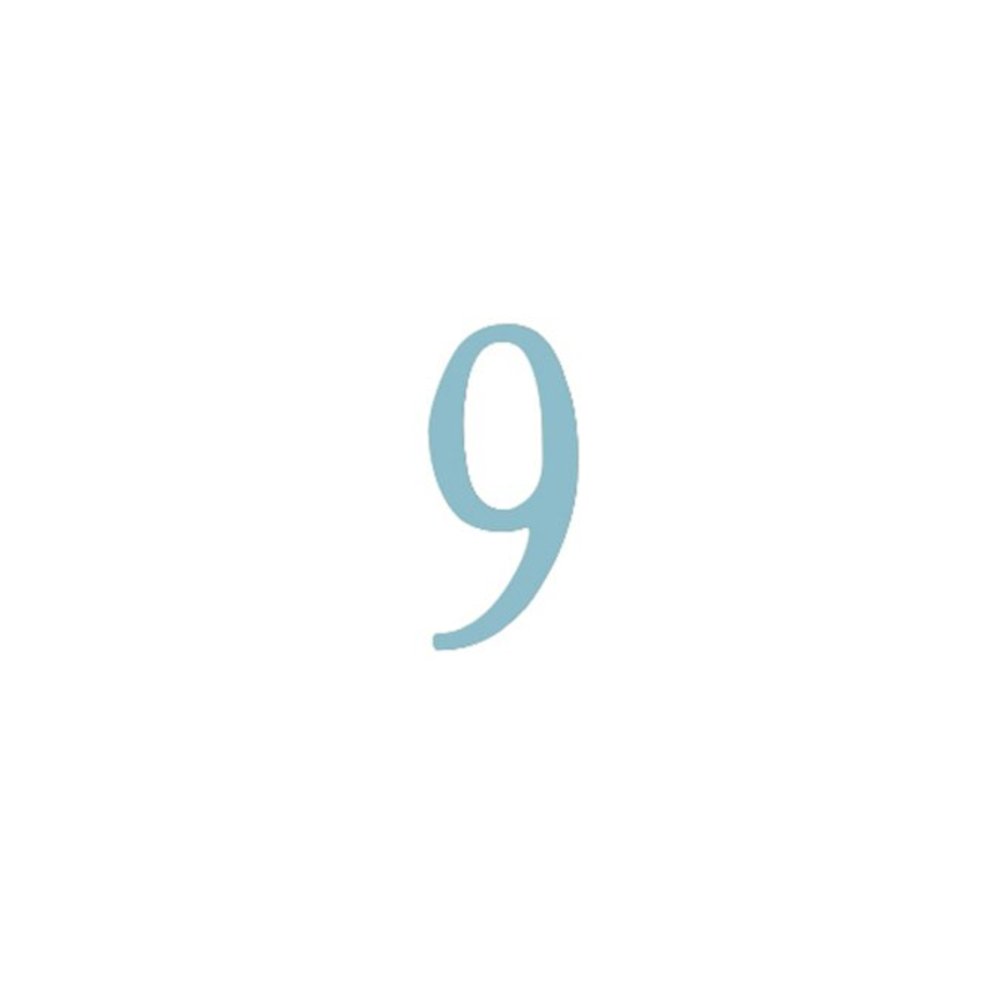 2 inch Stainless Steel Self Adhesive Address Number.  Number: 9. Picture 1