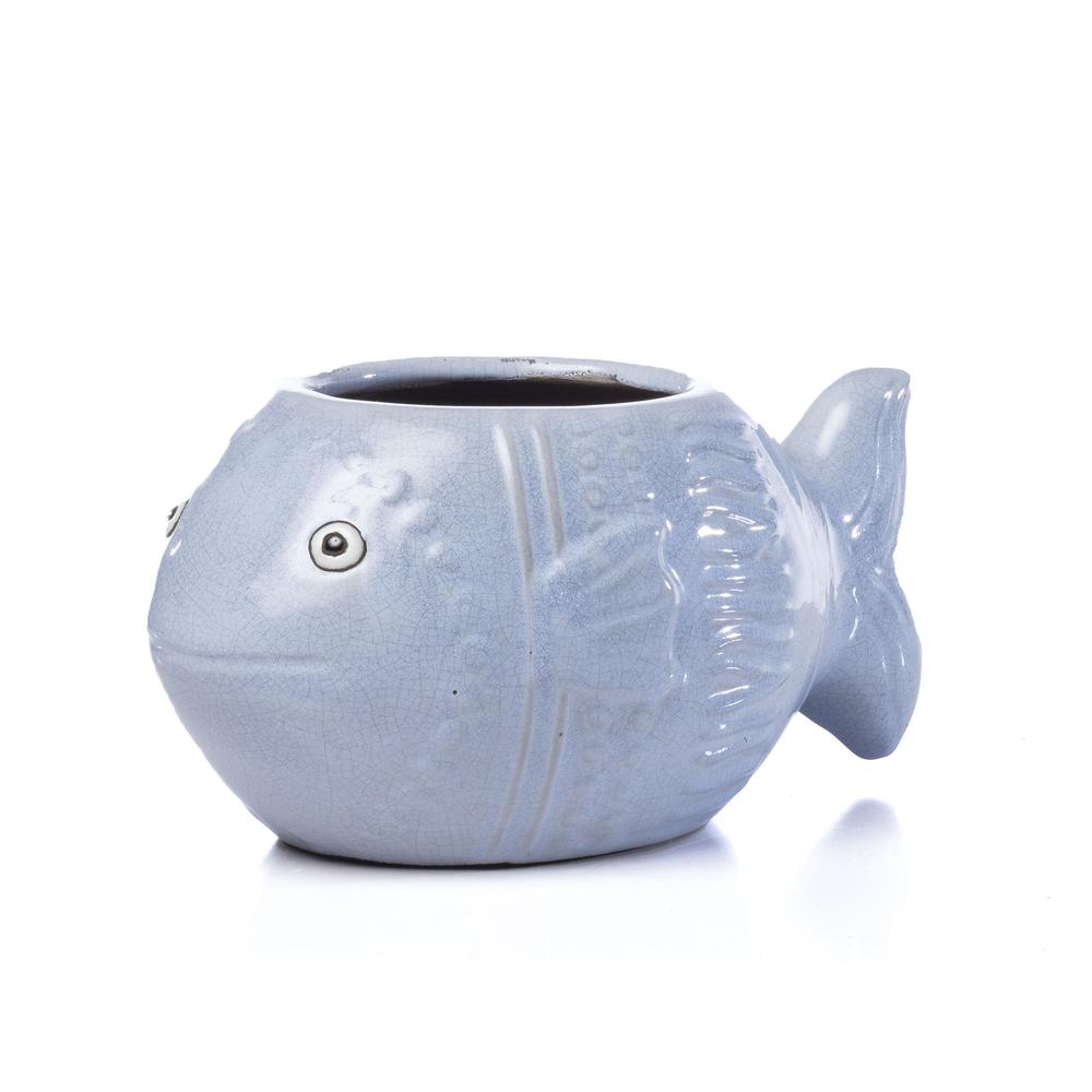 Placid Fish. Picture 1