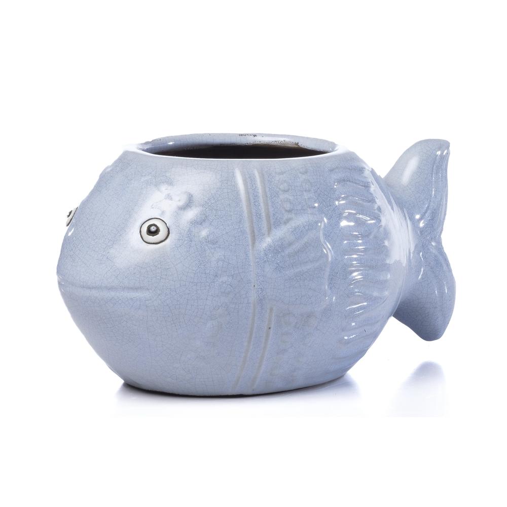 Placid Fish. Picture 2