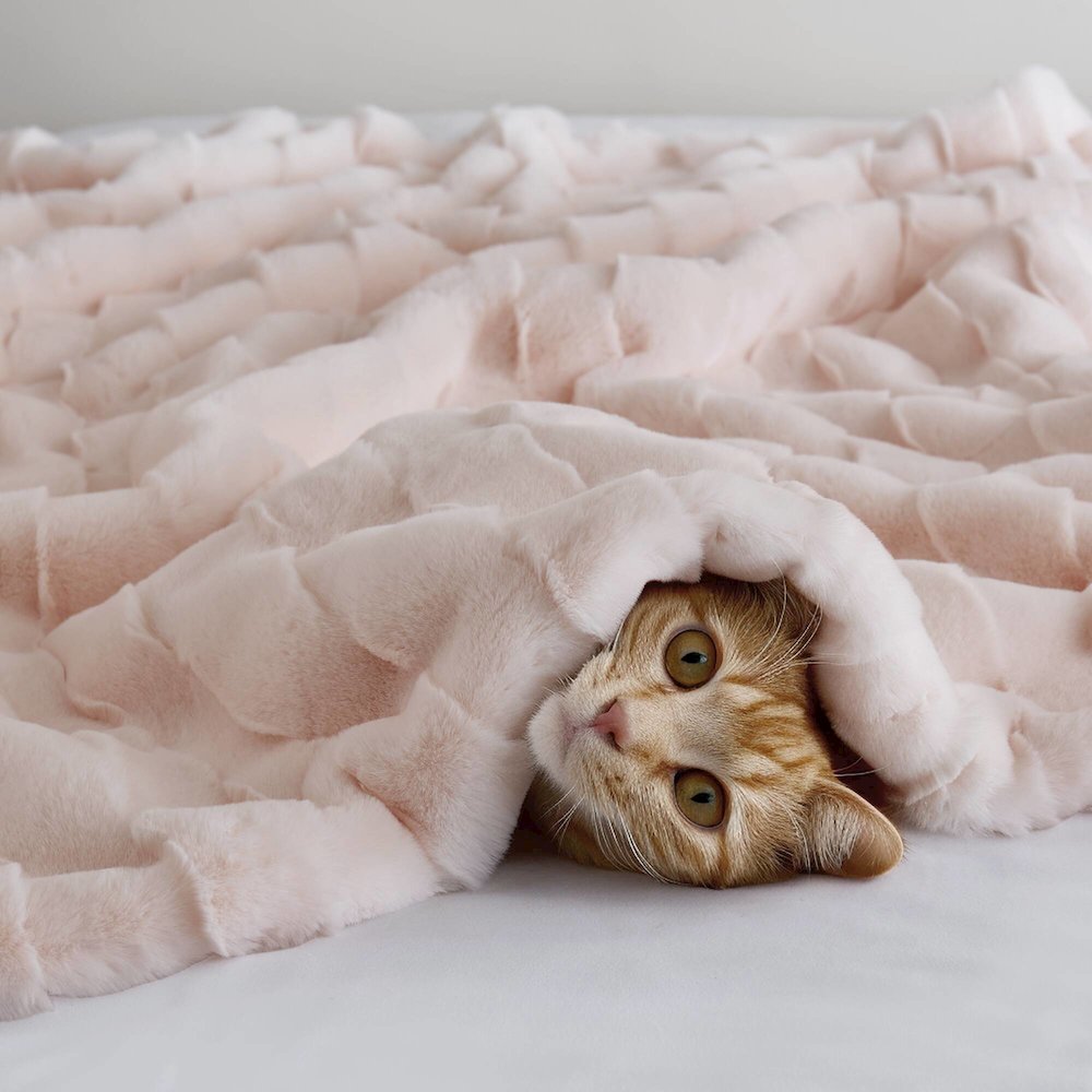 Vivienne Faux Fur Throw, Pink color. Picture 2