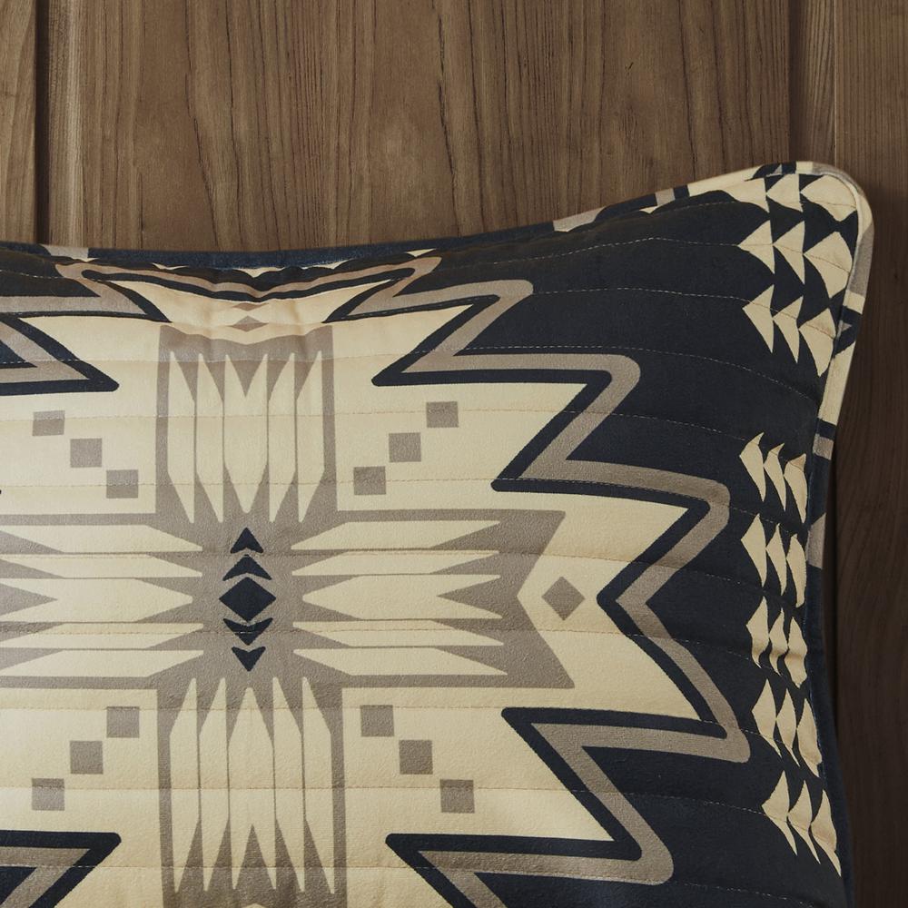 Oversized Print Plush Quilt Set. Picture 5