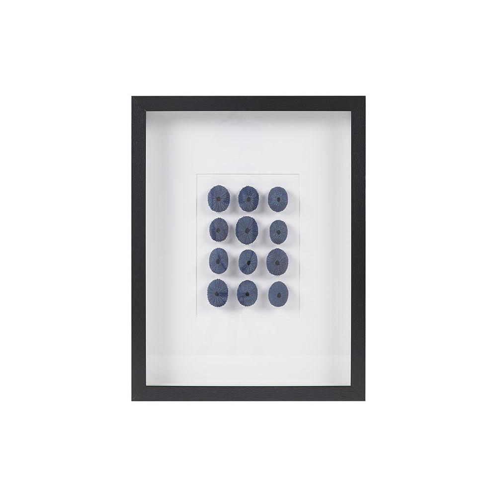 Framed Sea Urchin Shadow Box Wall Decor. Picture 4