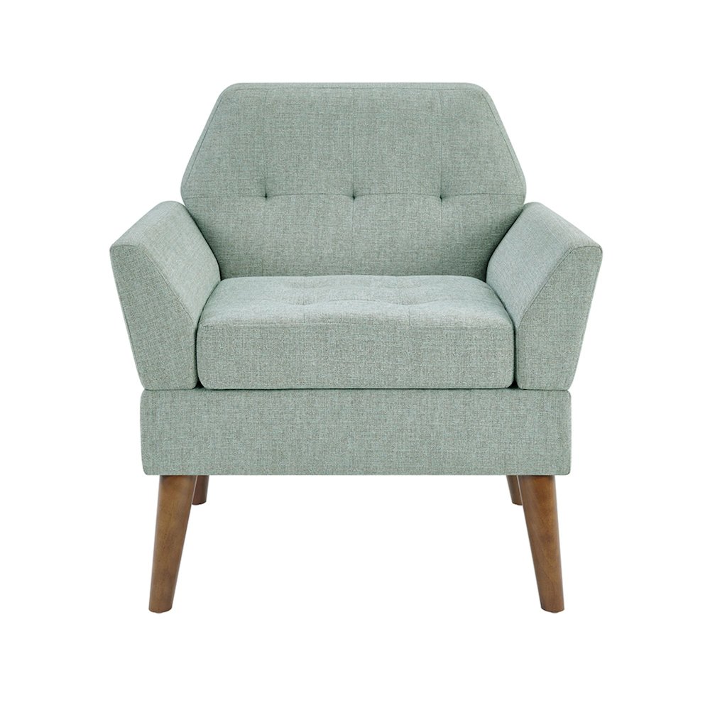 Newtin Mid-Century Modern Lounge Chair. Picture 2