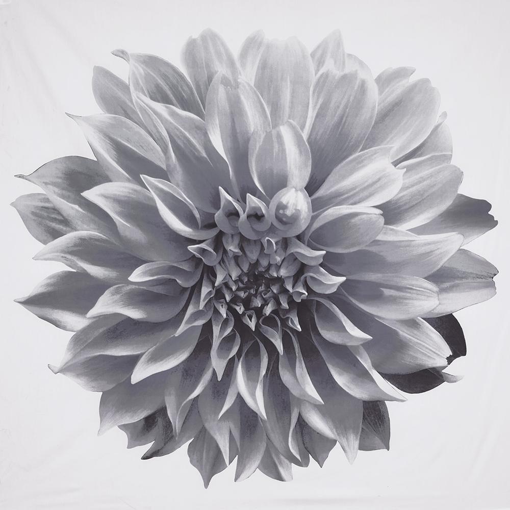 Printed Floral Cotton Shower Curtain. Picture 2