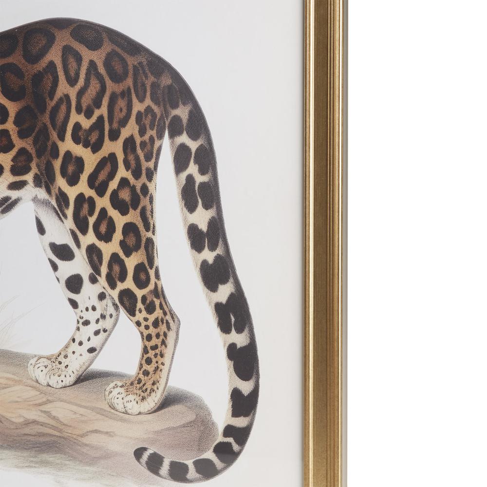 Cheetah Framed Graphic Wall Decor 2PC set. Picture 1