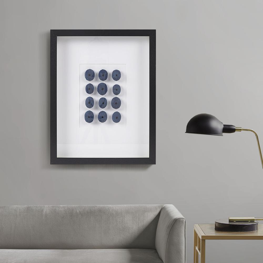 Framed Sea Urchin Shadow Box Wall Decor. Picture 2