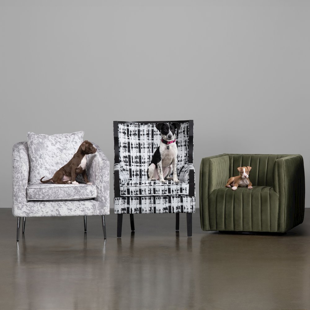 Upholstered Accent Chair. Picture 4
