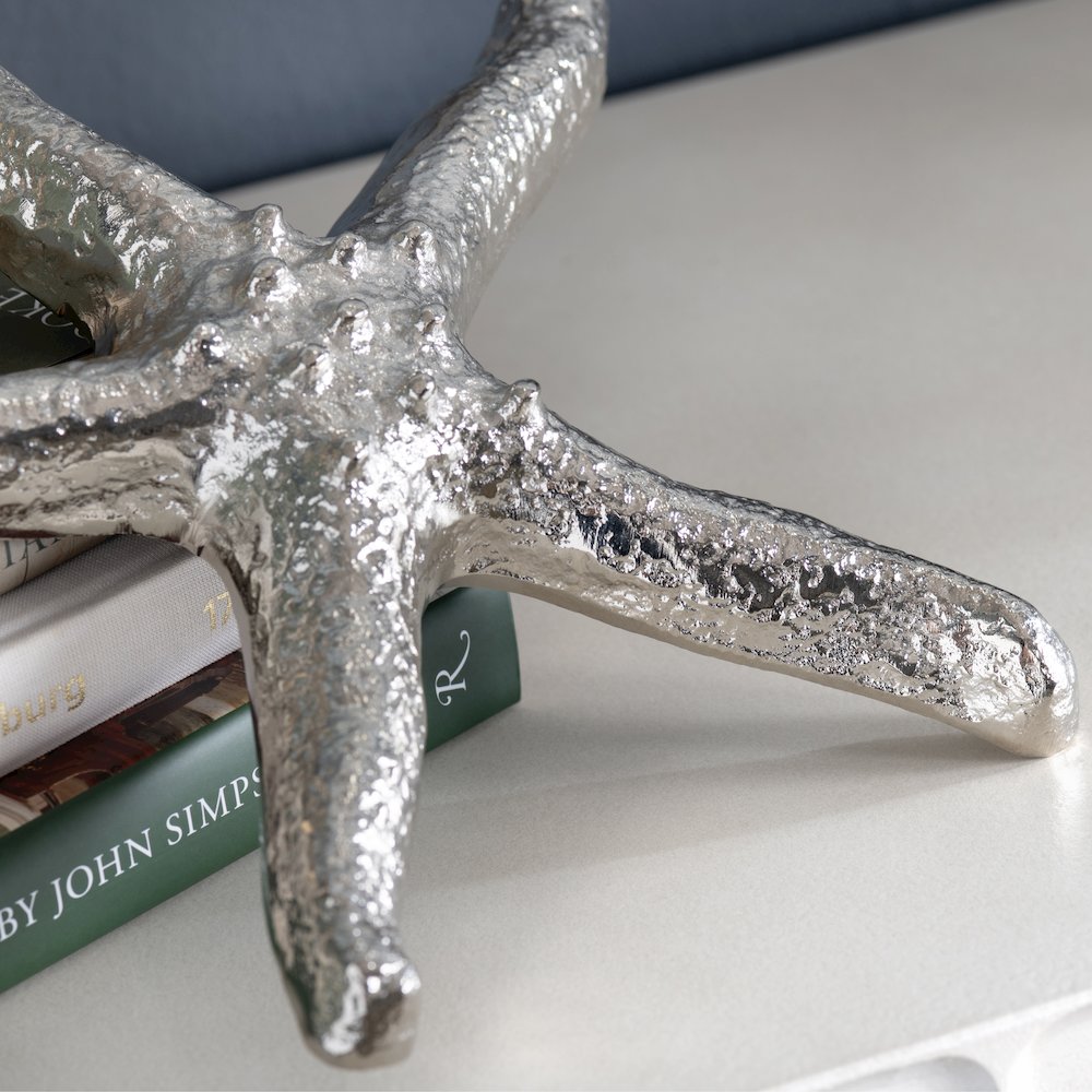 Silver Starfish. Picture 5
