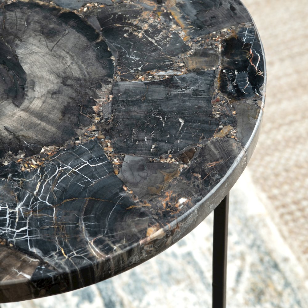 Black Petrified Wood And Metal Round Accent_End Table. Picture 5