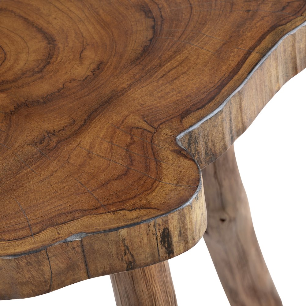 Bayur Wood Live Edge Brown End Table. Picture 3