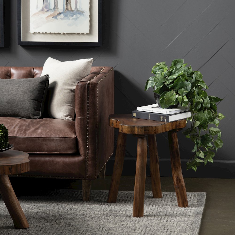 Bayur Wood Live Edge Brown End Table. Picture 4