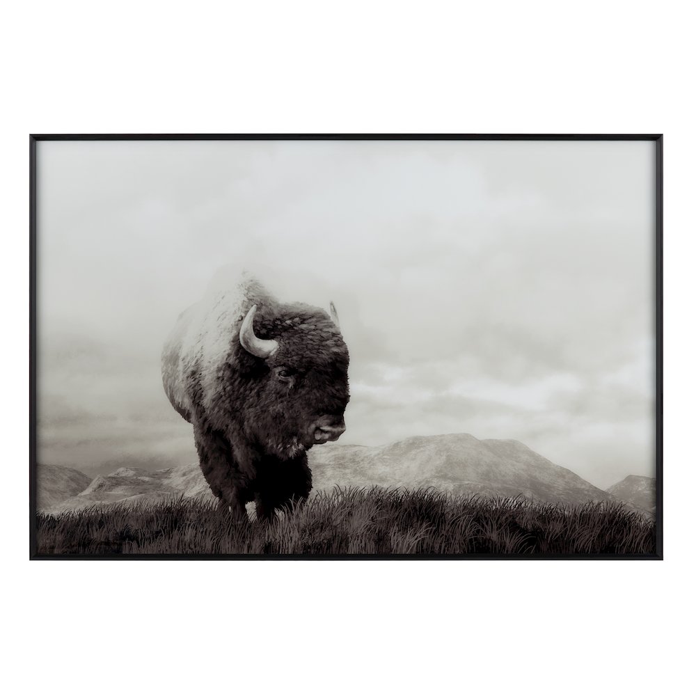 Bison Life Wall Decor. Picture 1