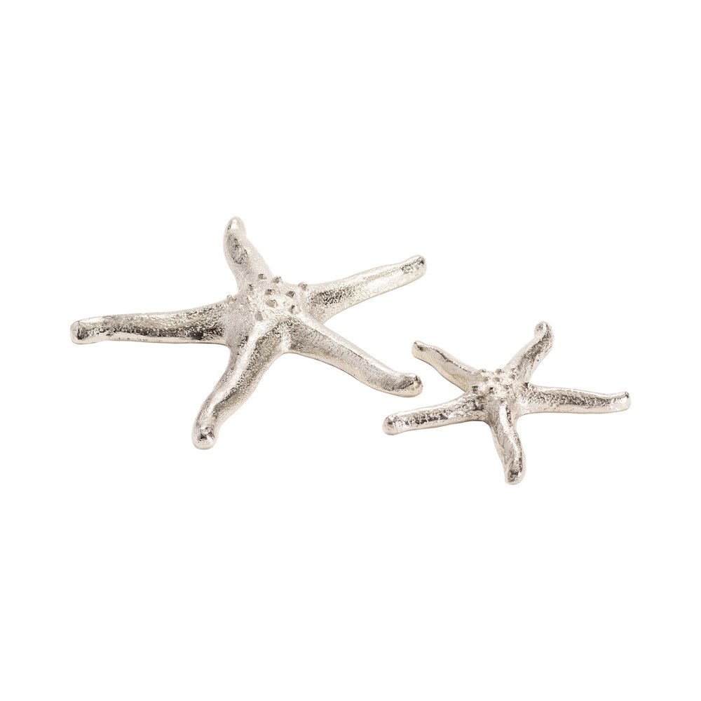 Silver Starfish. Picture 1
