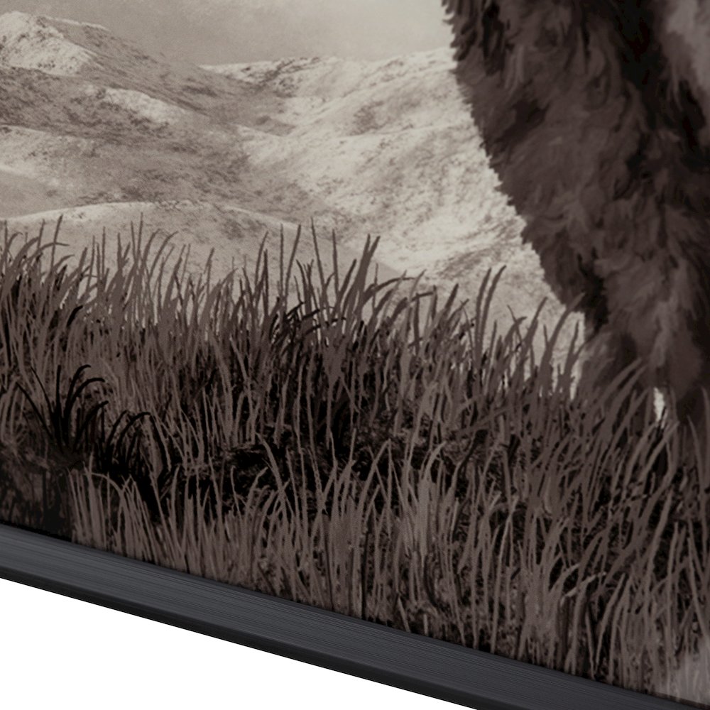 Bison Life Wall Decor. Picture 2
