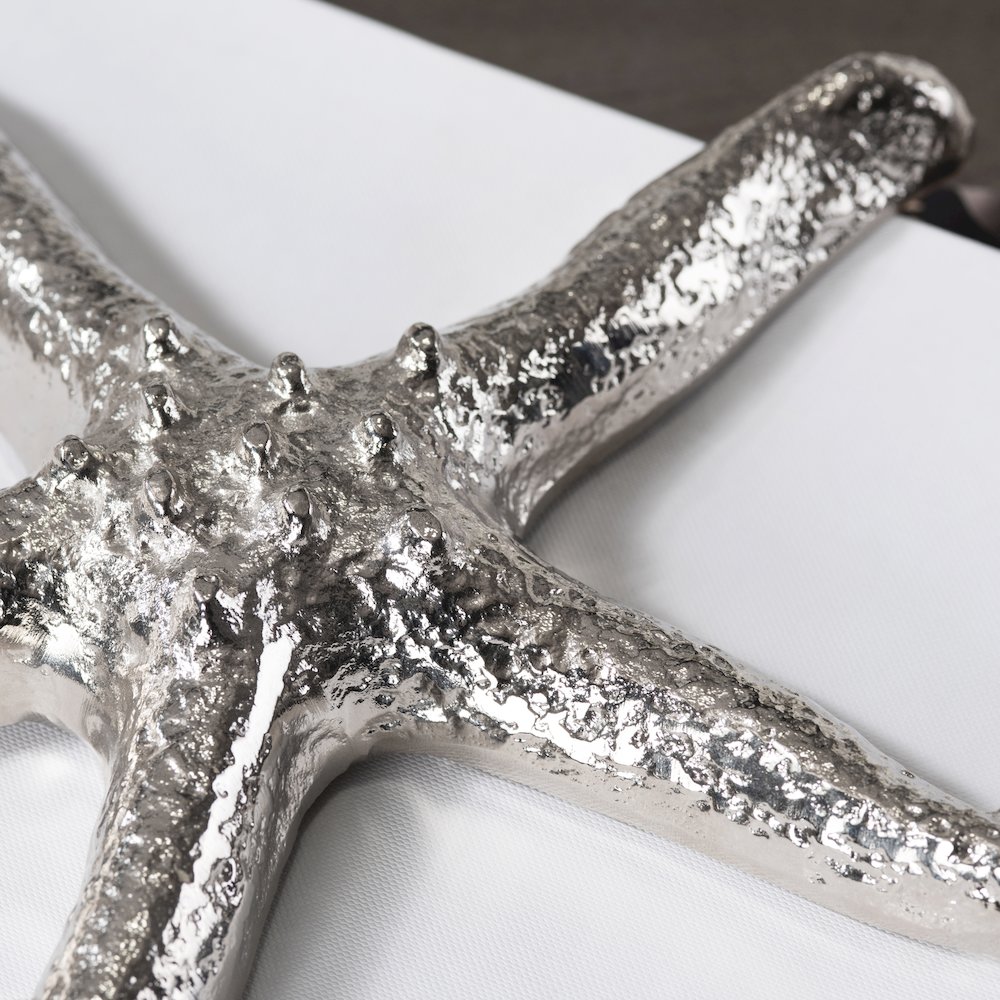Silver Starfish. Picture 3