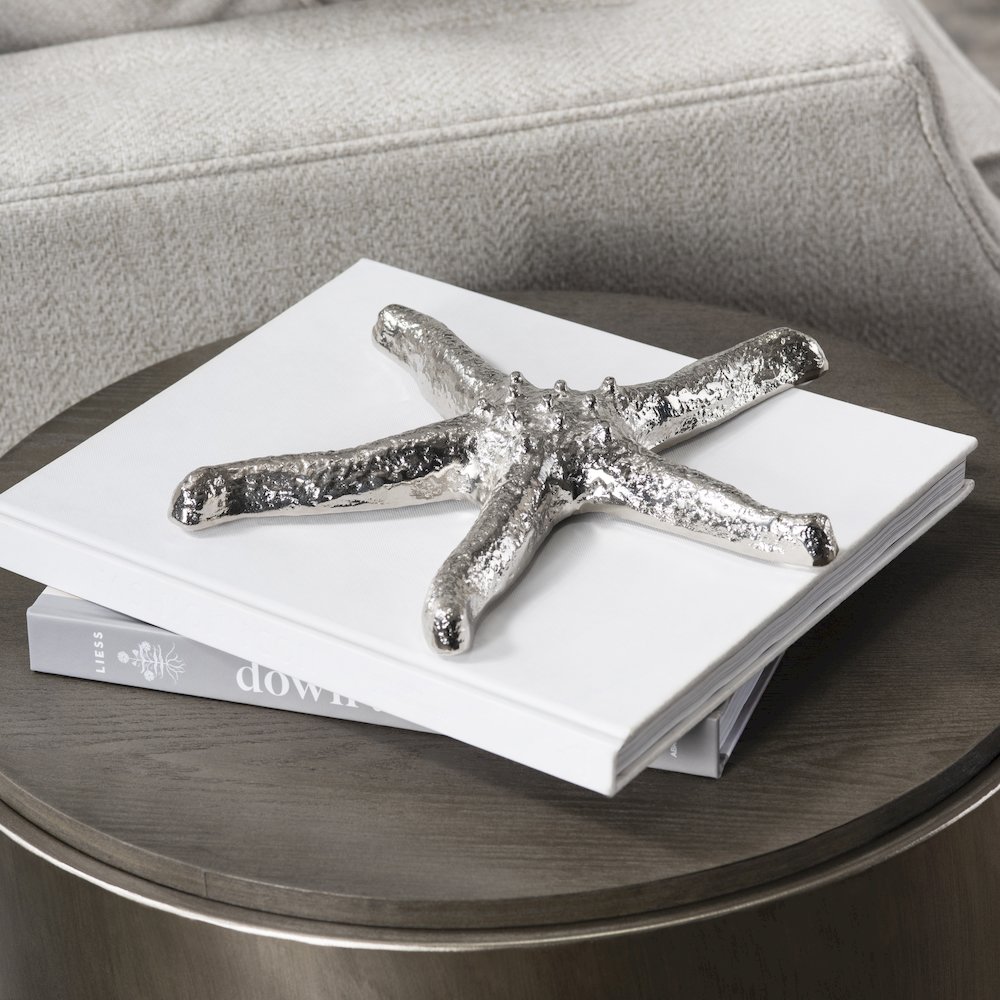 Silver Starfish. Picture 2