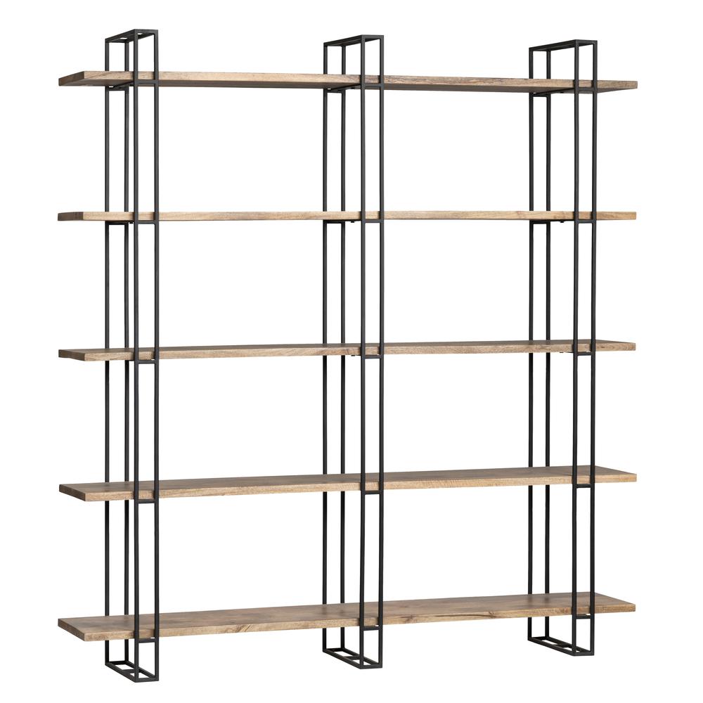 Homer Bookshelf. Picture 2