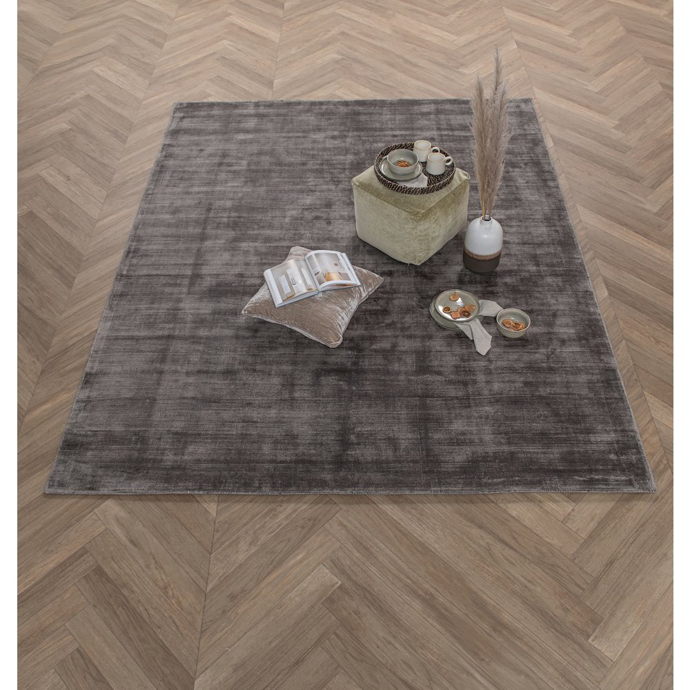 Cameron Hand-woven Distressed Viscose Area Rug  Charcoal 9X12. Picture 4