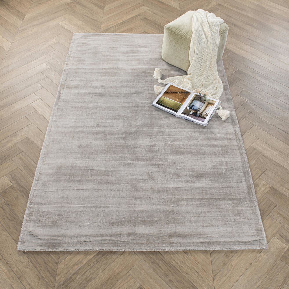 Cameron Hand-woven Distressed Viscose Area Rug  Dove Gray 5X8. Picture 2
