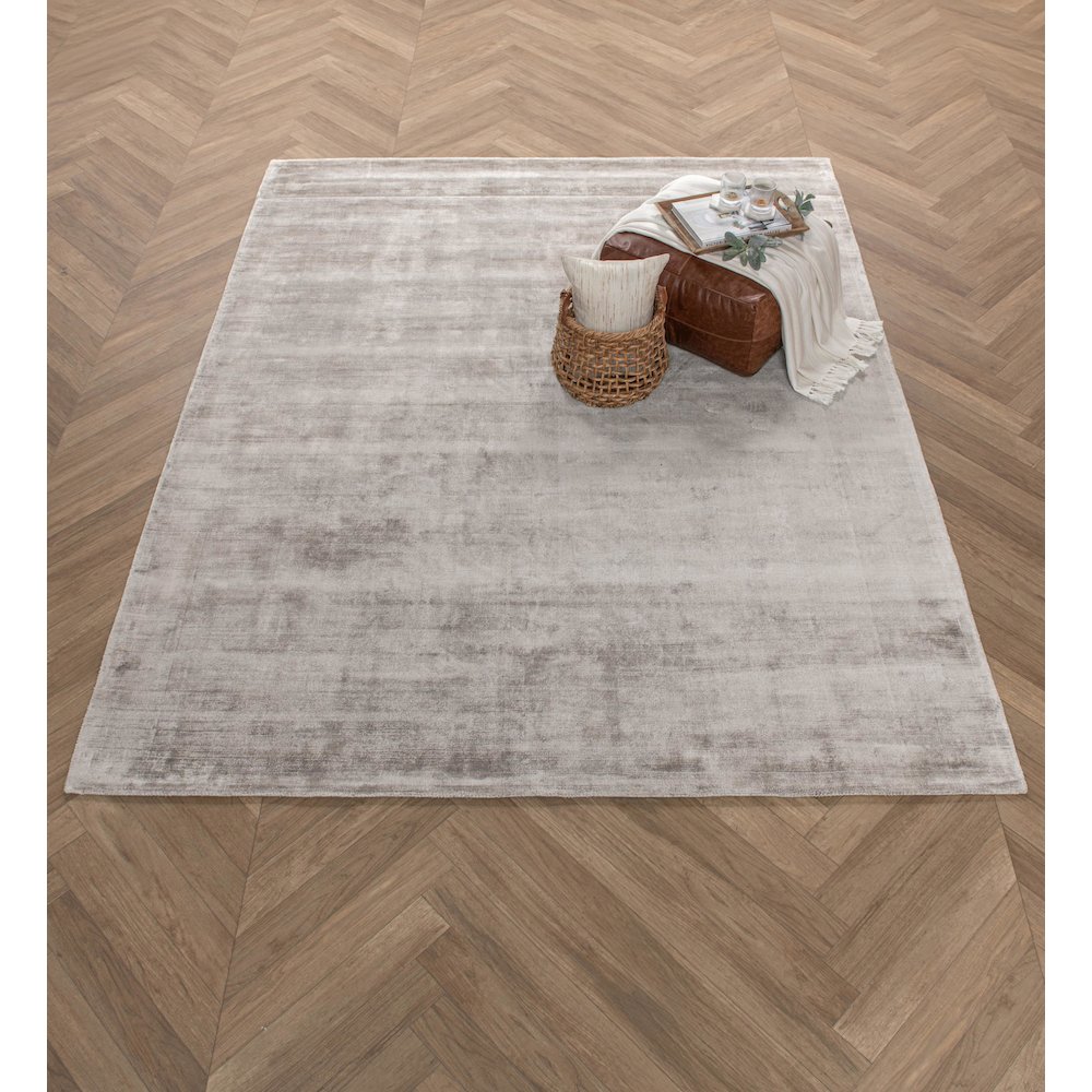 Cameron Hand-woven Distressed Viscose Area Rug  Dove Gray 9X12. Picture 2