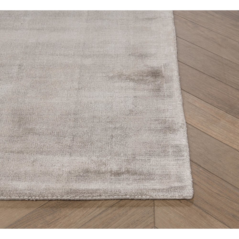 Cameron Hand-woven Distressed Viscose Area Rug  Dove Gray 9X12. Picture 3