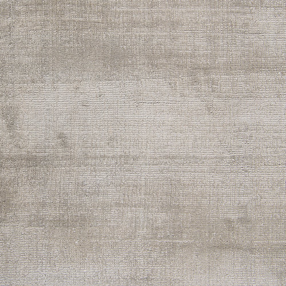 Cameron Hand-woven Distressed Viscose Area Rug  Dove Gray 9X12. Picture 5