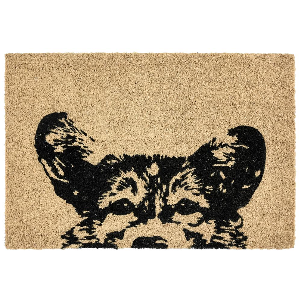 Sparky 24x36 Coir Doormat by Kosas Home. Picture 1