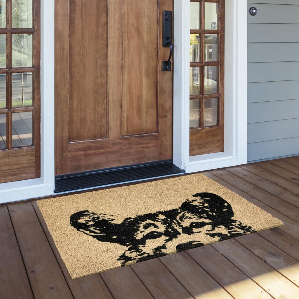 Sparky 24x36 Coir Doormat by Kosas Home. Picture 2