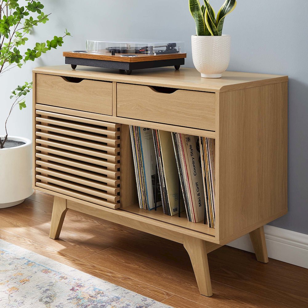 Render Vinyl Record Display Stand. Picture 7
