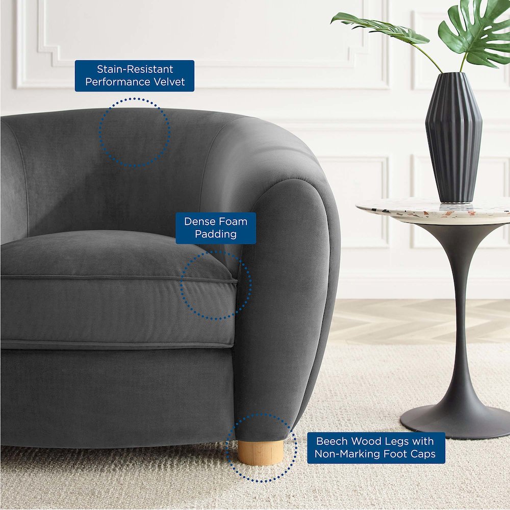 Abundant Performance Velvet Armchair. Picture 2