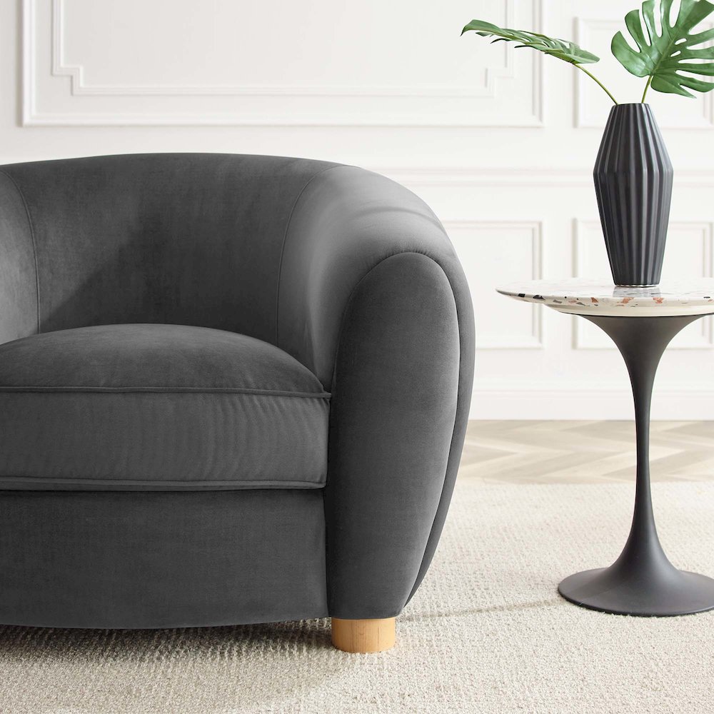 Abundant Performance Velvet Armchair. Picture 7