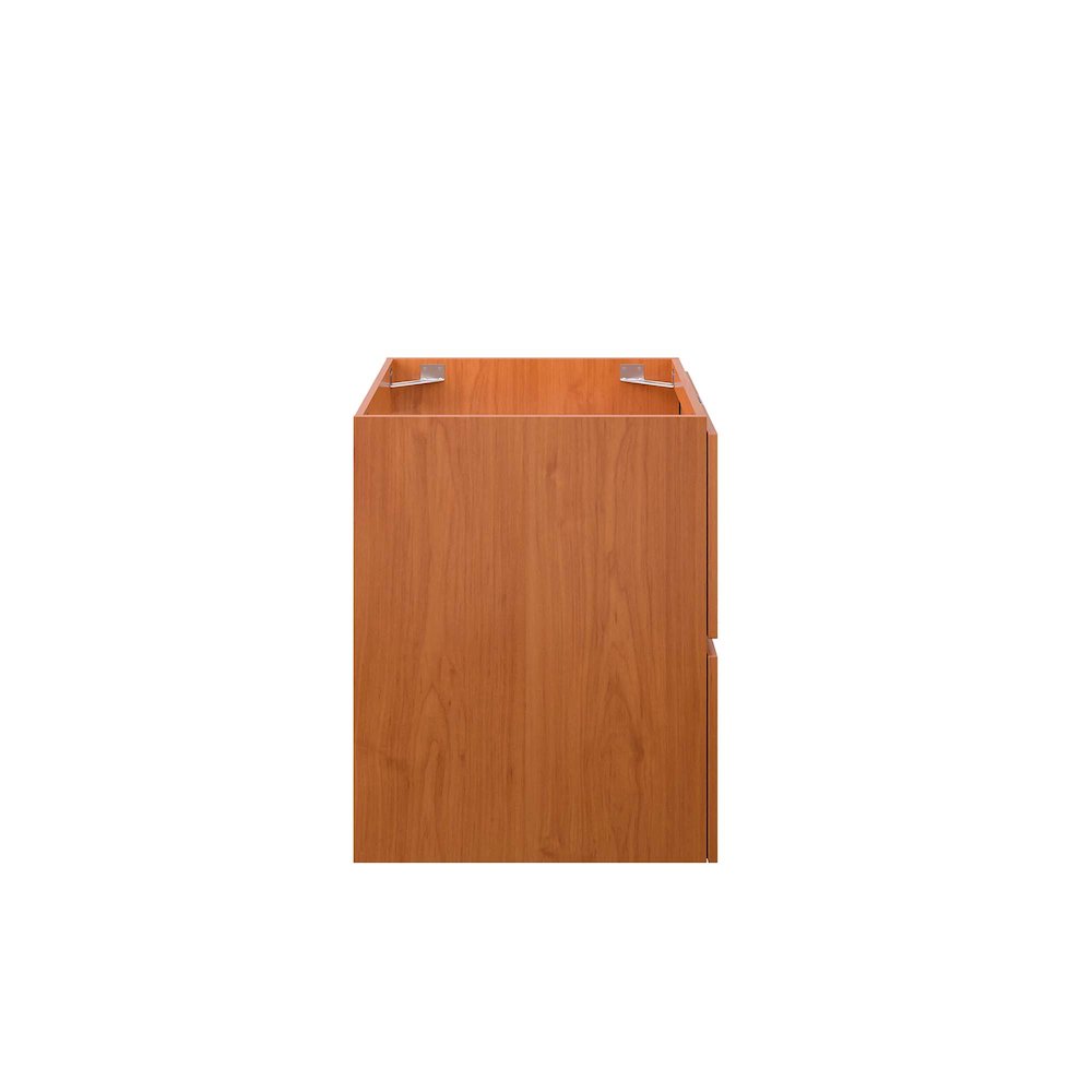 Scenic 24" Wall-Mount Bathroom Vanity Cabinet (Sink Basin Not Included). Picture 3