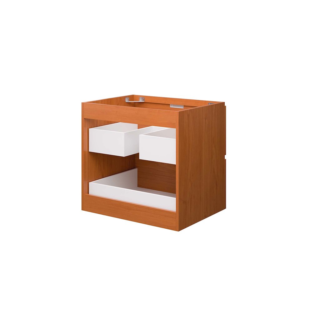 Scenic 24" Wall-Mount Bathroom Vanity Cabinet (Sink Basin Not Included). Picture 7
