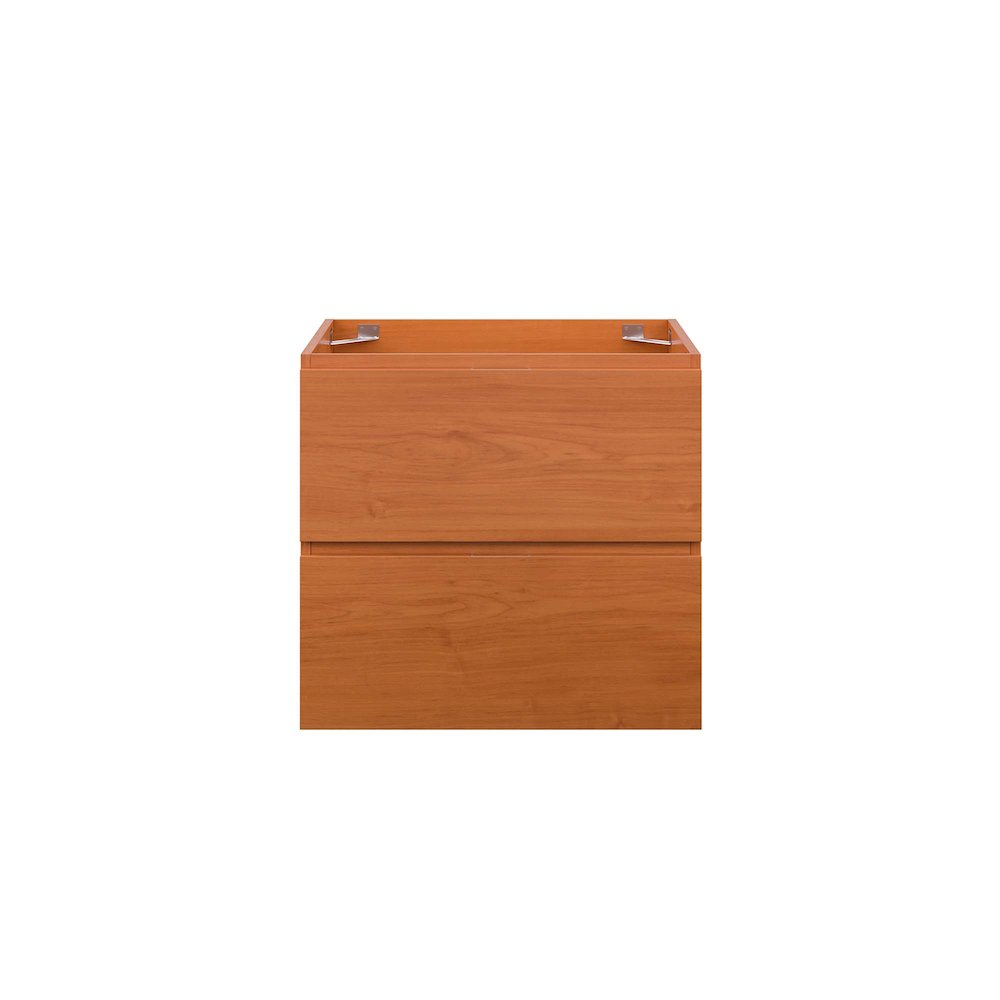Scenic 24" Wall-Mount Bathroom Vanity Cabinet (Sink Basin Not Included). Picture 4
