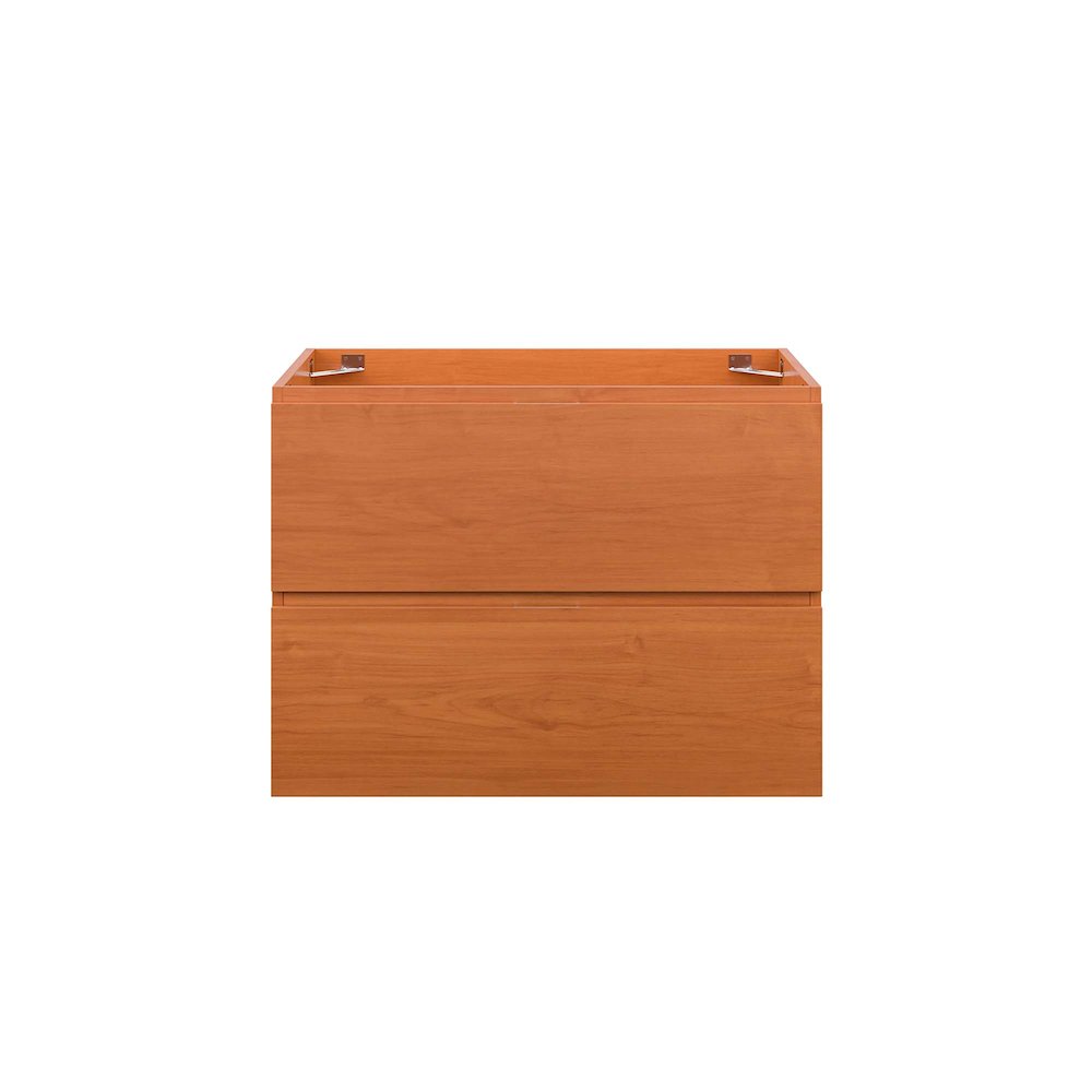 Scenic 30" Wall-Mount Bathroom Vanity Cabinet (Sink Basin Not Included). Picture 4