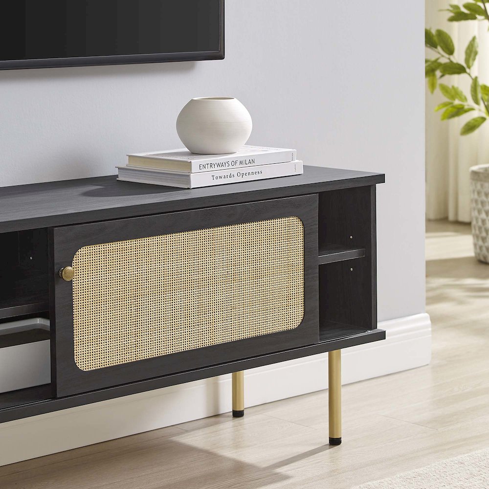 Cambria 47" TV Stand. Picture 8