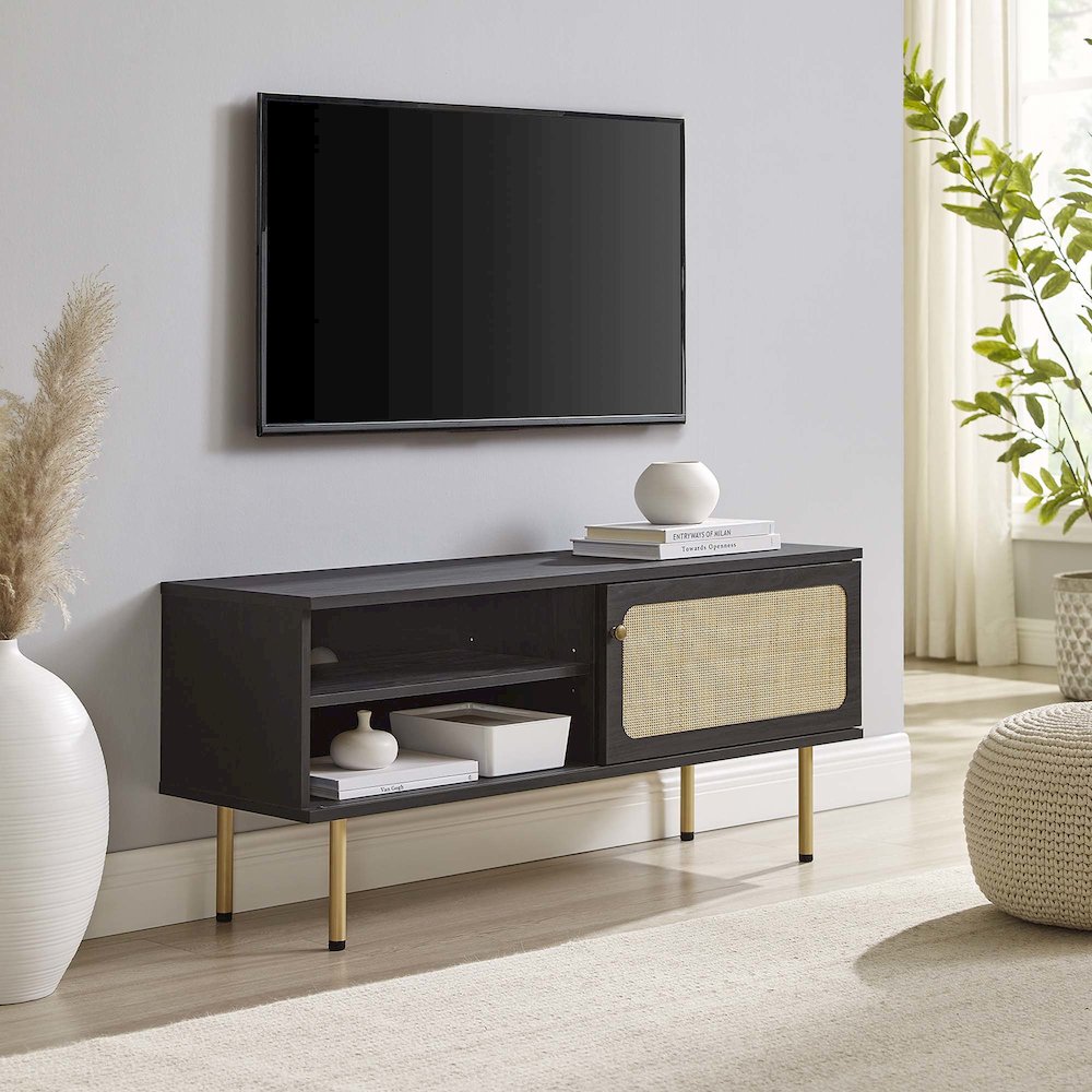 Cambria 47" TV Stand. Picture 7