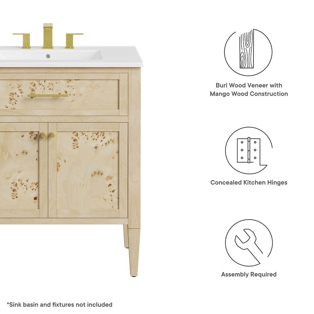 Elysian 30" Bathroom Vanity Cabinet (Sink Basin Not Included). Picture 3
