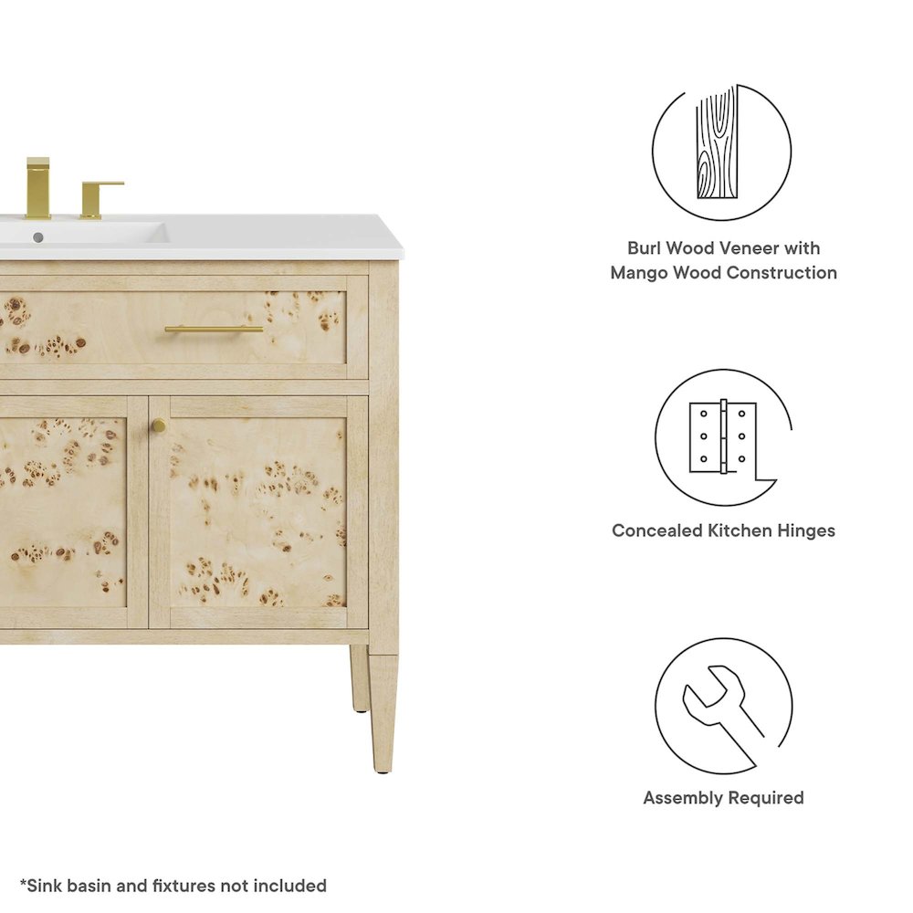 Elysian 48" Wood Bathroom Vanity Cabinet (Sink Basin Not Included). Picture 3