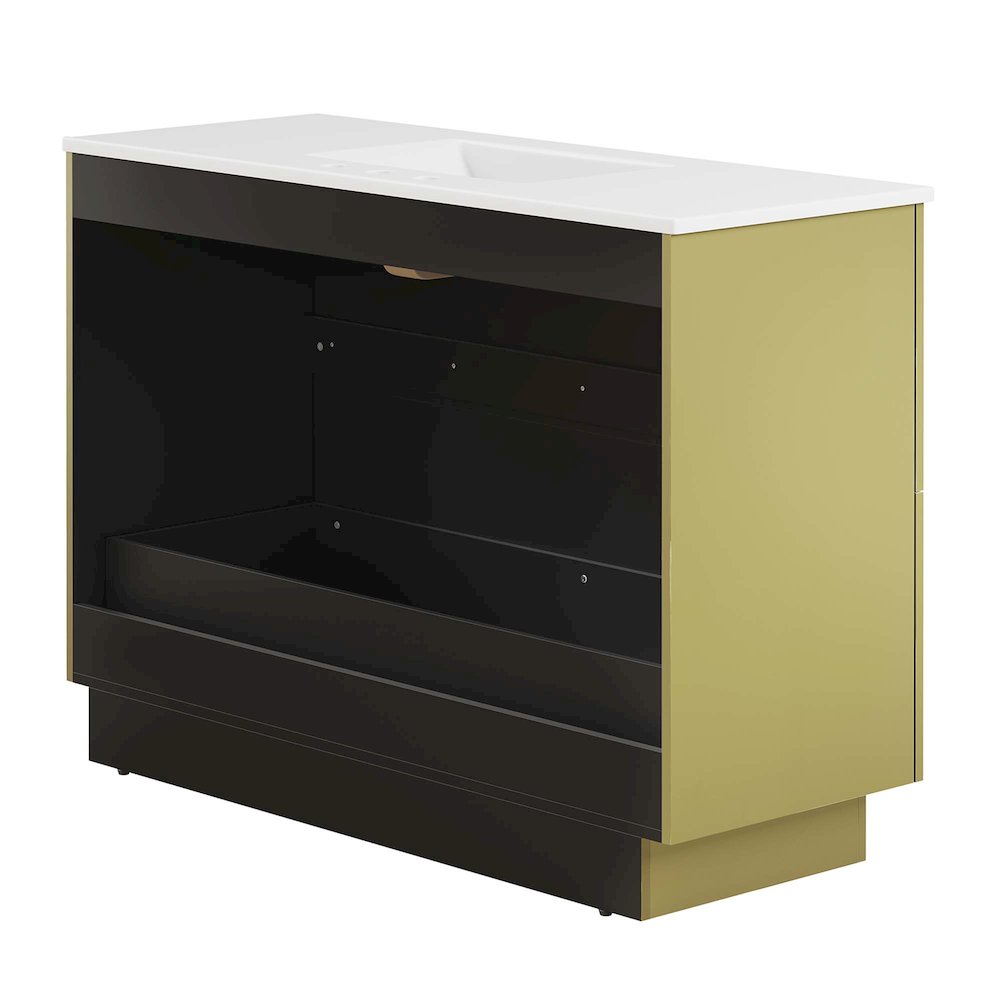 Quantum 48" Single Sink Bathroom Vanity. Picture 5