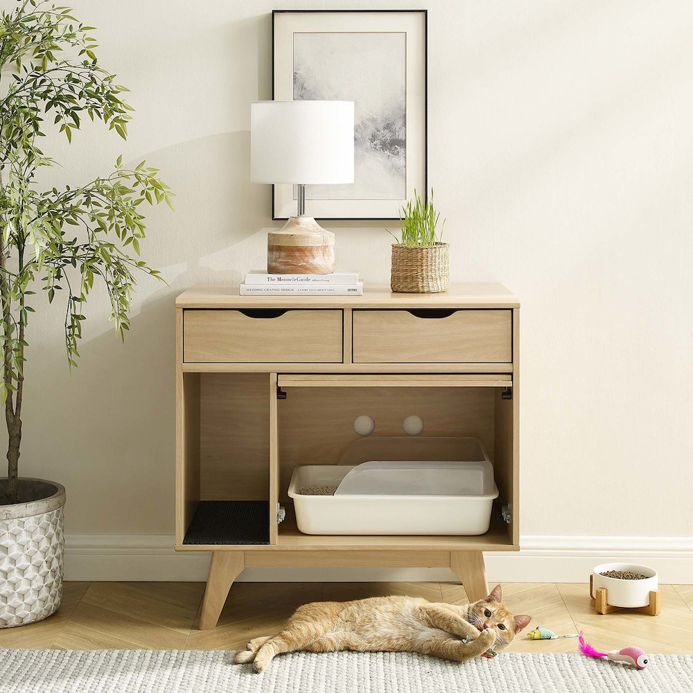 Render Cat Cabinet. Picture 17